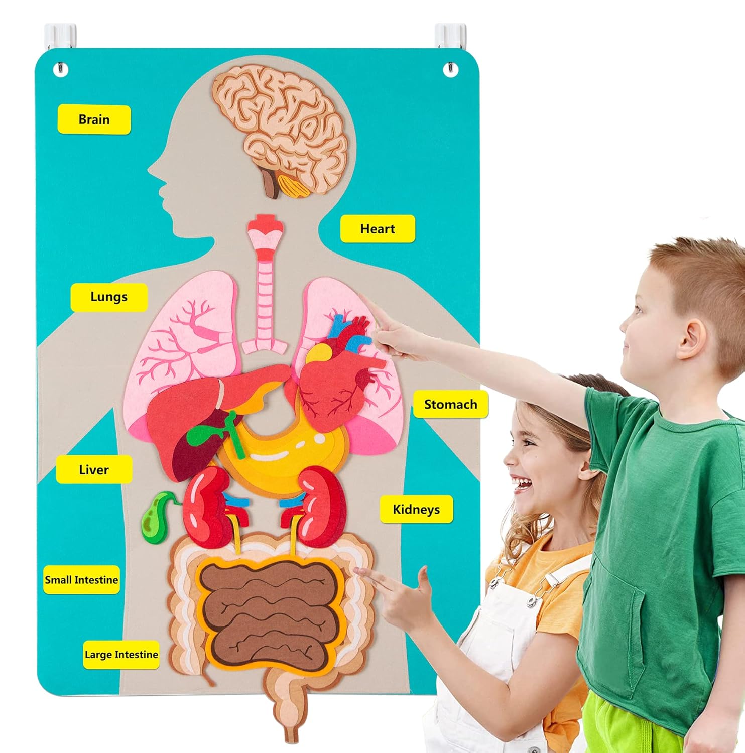 Kids Education Story - Opowieści z filcowej tablicy o częściach